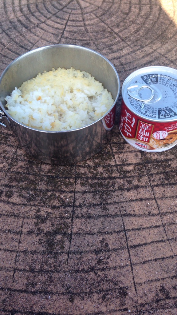 炊いたお米と鯖の味噌煮